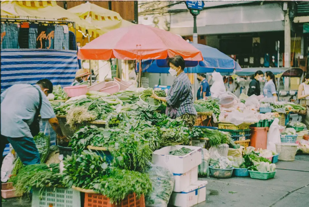 塑料制品生产工艺升级对家居用品质量管控的影响研究